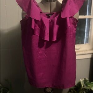 Banana Republic Magenta Ruffle Blouse